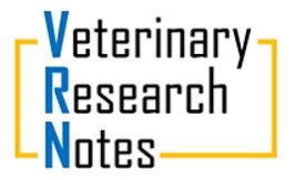 logo 237